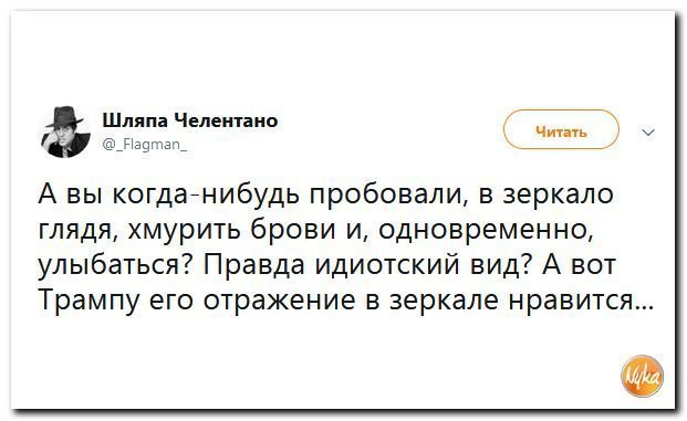 Политические коментарии соцсетей - 455