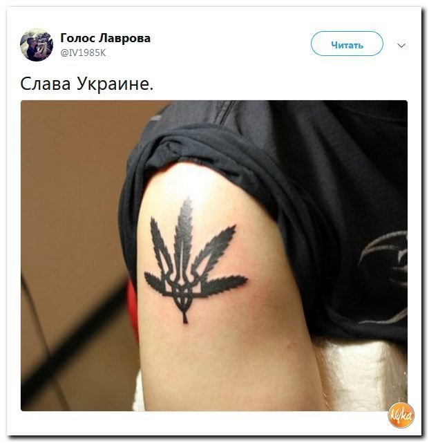 Политические коментарии соцсетей - 455