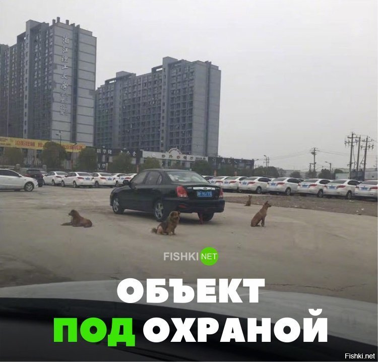 Новый уровень сигнализации