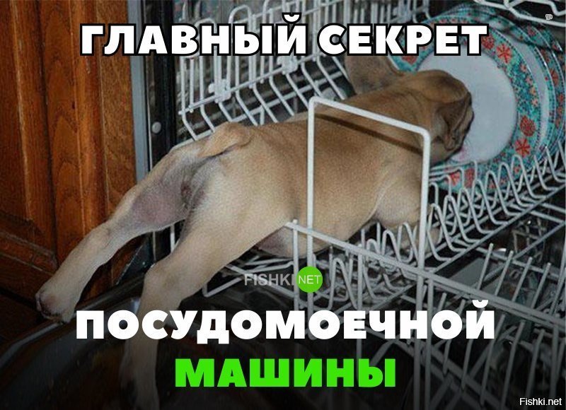 Секрет посудомоечной машины