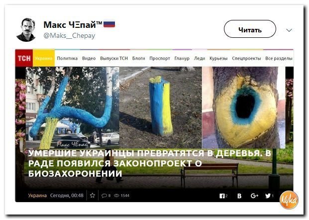 Политические коментарии соцсетей - 456