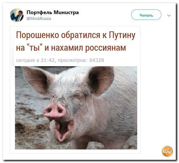 Политические коментарии соцсетей - 456