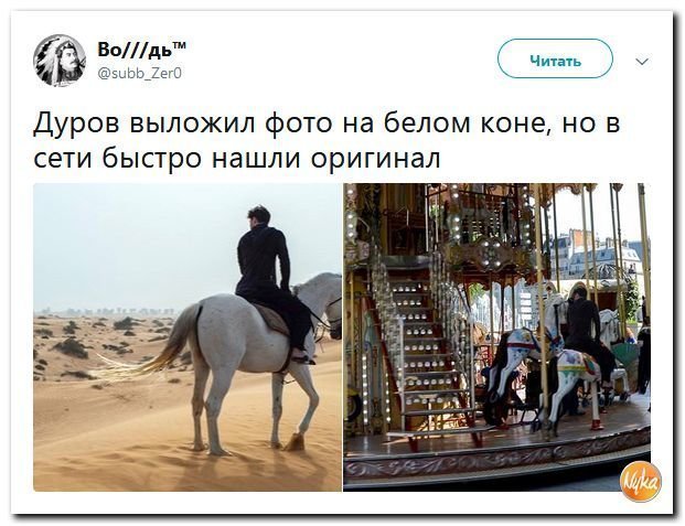 Политические коментарии соцсетей - 456
