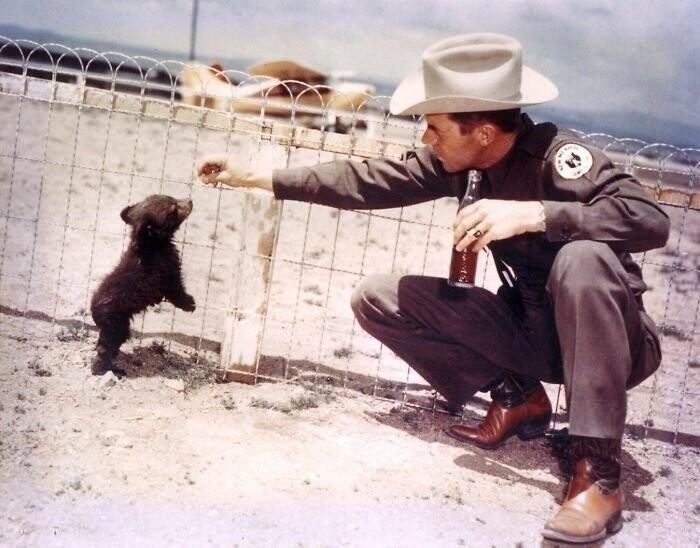 5. Офицер и медвежонок, живое воплощение Медведя Смоки (талисман службы леса США), 1950 г.