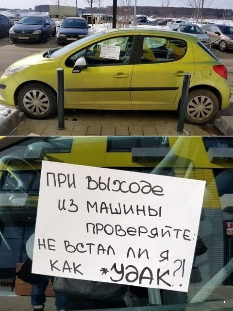 Автовсячина