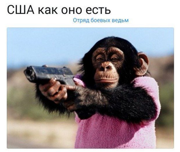 Политические коментарии соцсетей - 457