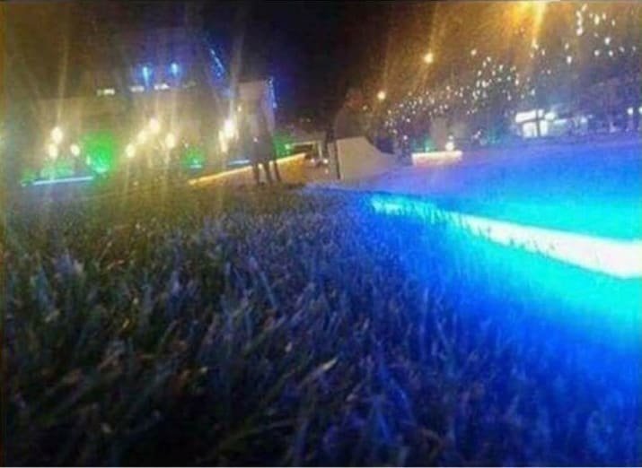 Это снимок с многолюдного концерта - или газон, освещенный фонарем?