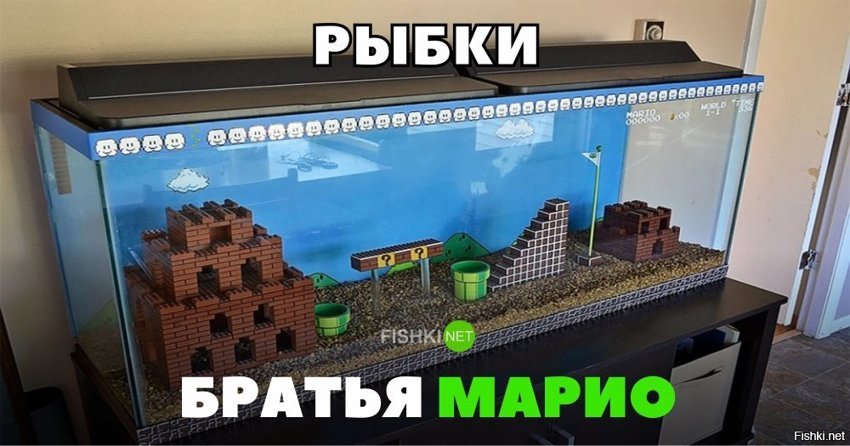 Рыбки братья Марио