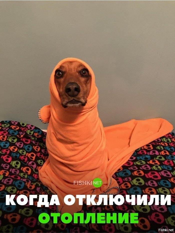 Когда отключили отопление