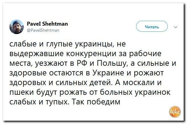 Политические коментарии соцсетей - 459