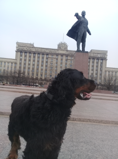 Прогулки с  собакой по Петербургу- 4