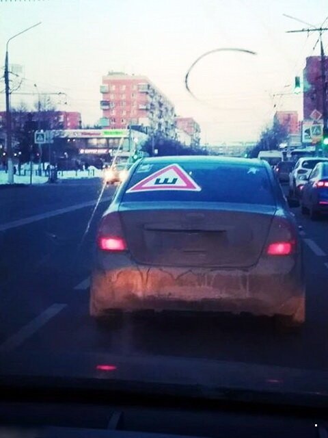 Автовсячина