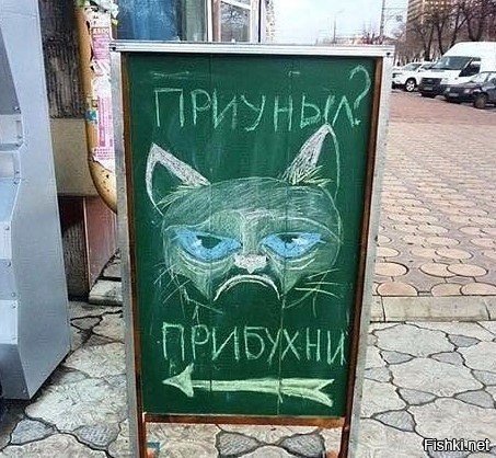 Солянка