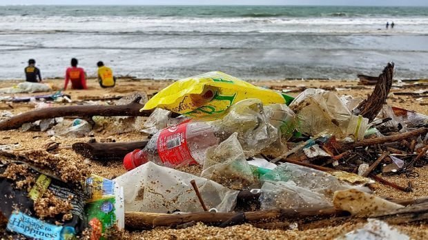 Ученые создали фермент, способный уничтожать пластиковый мусор