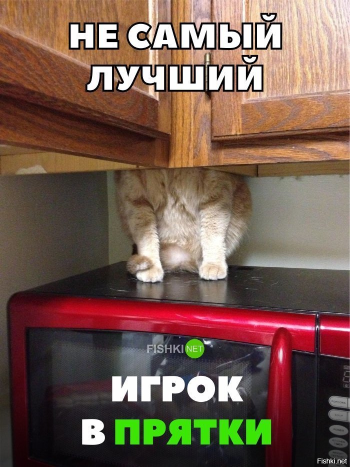 Лучший из лучших