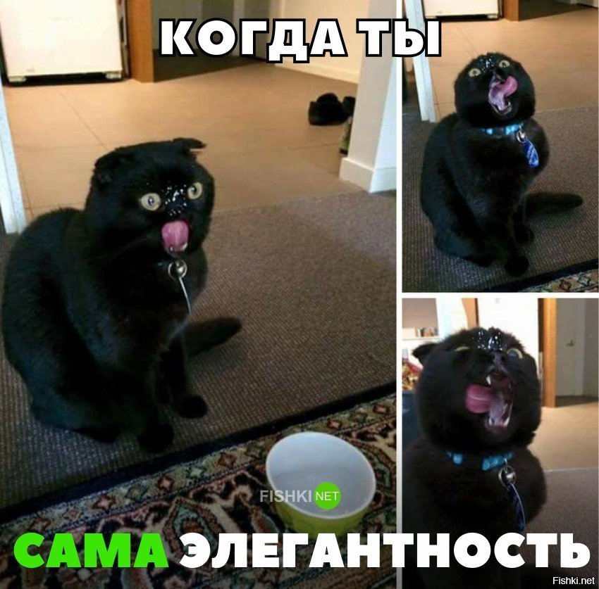 Когда ты сама элегантность