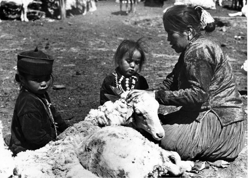Мама с дочерьми стрижёт овцу. Туба, Аризона, 1948