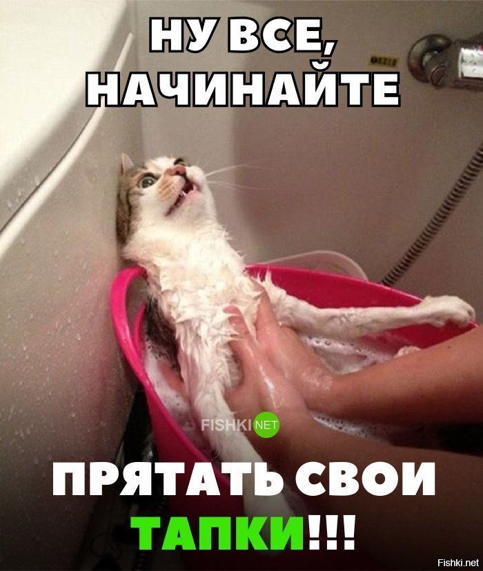 Всё... Начинайте прятать свои тапки