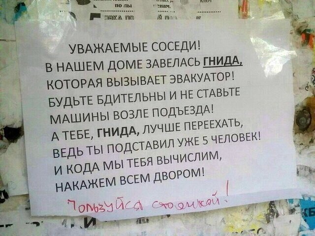 Прикольные картинки