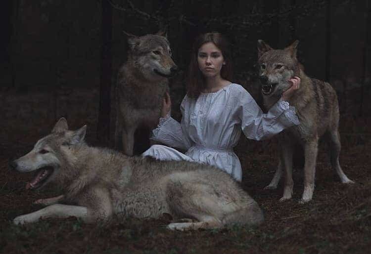 Дрессированные волки - милейшие создания