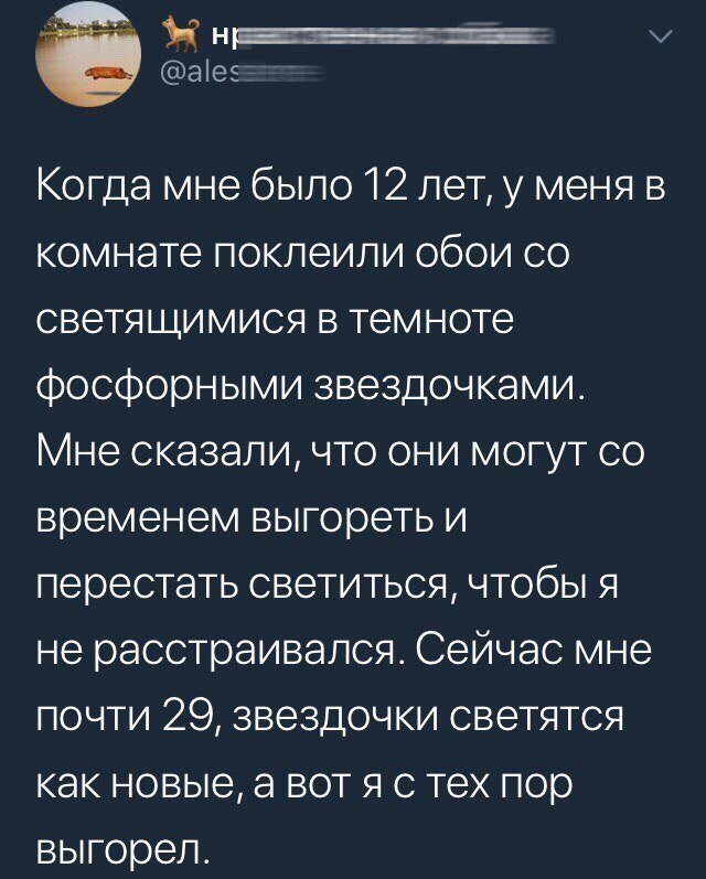 Смешные и пугающие комментарии из соцсетей и переписок от тюлень любви за 20 апреля 2018