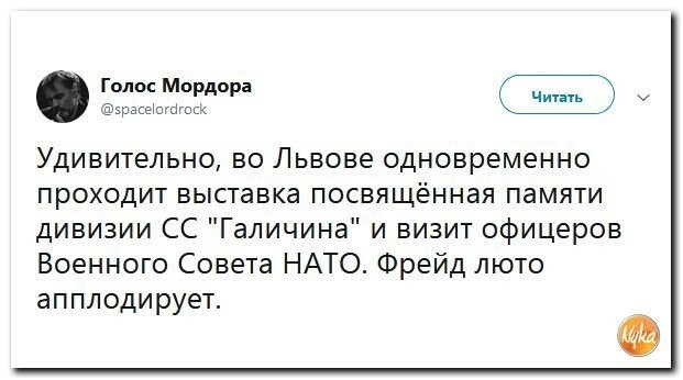 Политические коментарии соцсетей - 460