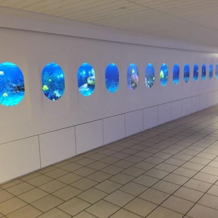 "В моём местном аэропорте сделали новый дизайн, чтобы имитировать интерьер самолёта. В качестве фона они выбрали подводную тему.. Так успокаивает.."