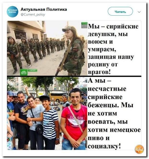 Даешь больше Политоты!