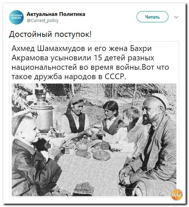 Даешь больше Политоты!