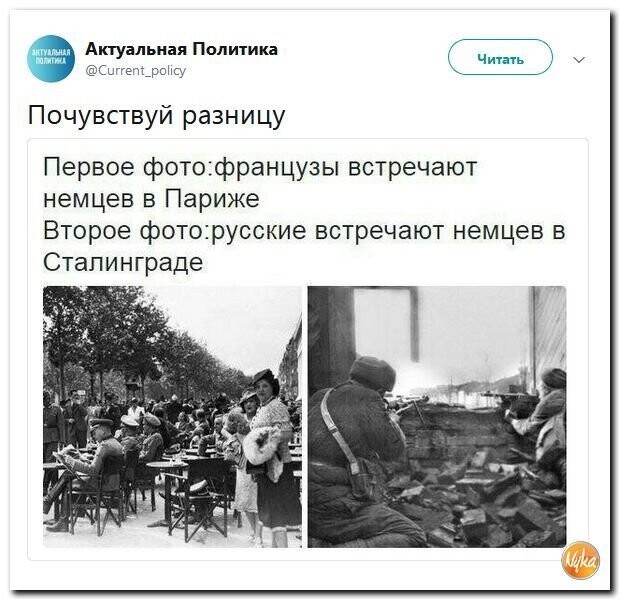 Даешь больше Политоты!