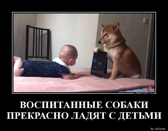Воспитание собакой