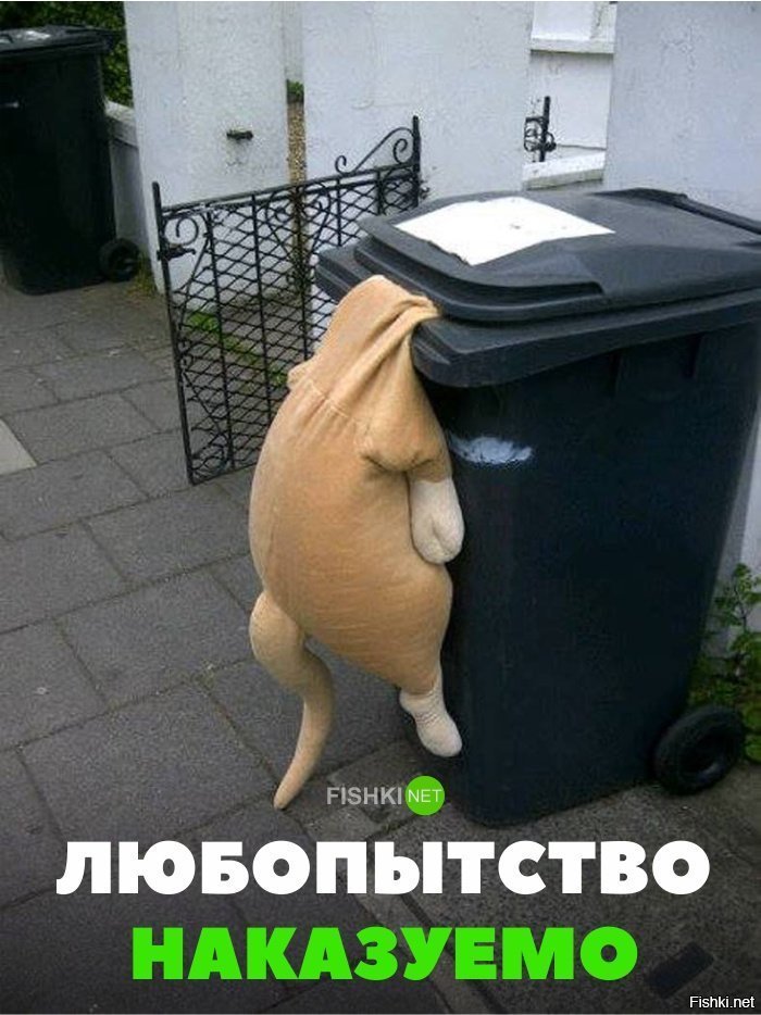 Любопытство наказуемо