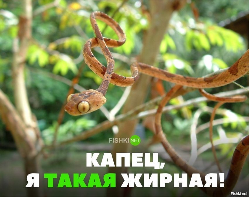 Любая женщина