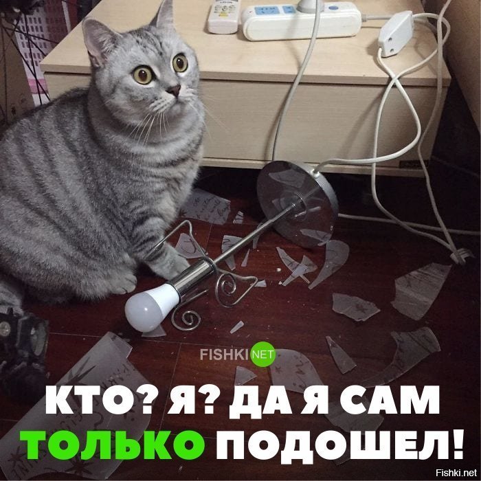 И так всегда