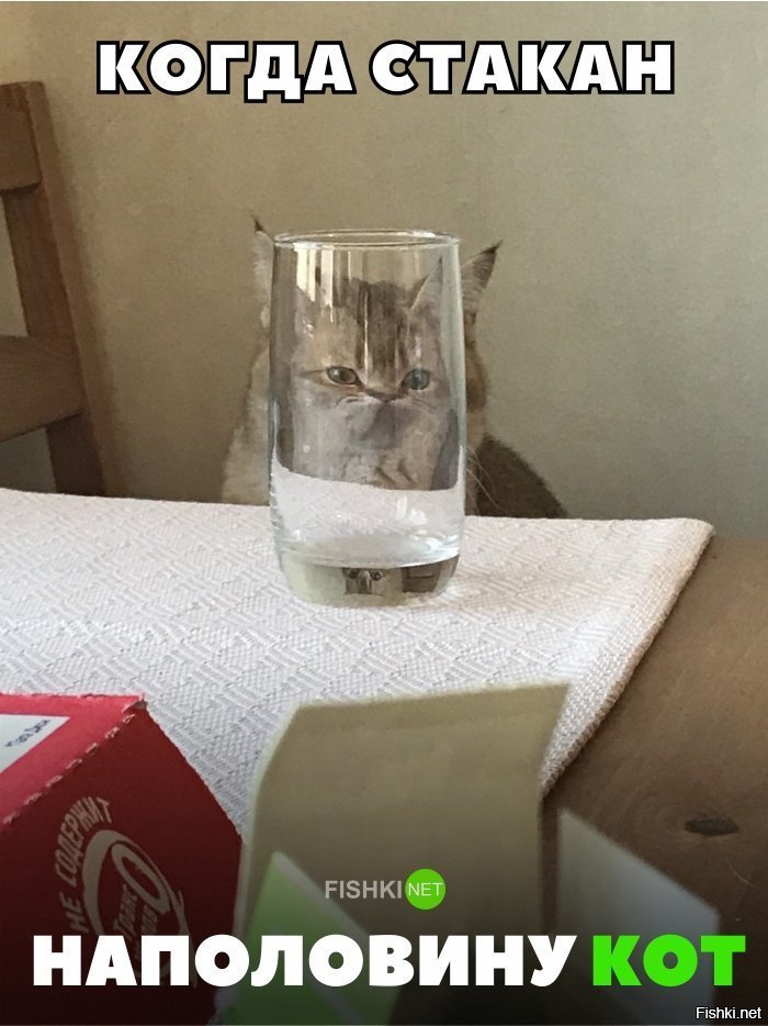 Наполовину кот