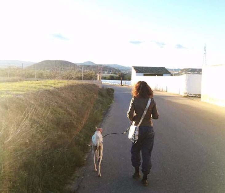 Собака со сломанной лапой шла 3 км, чтобы привести людей к своим щенкам