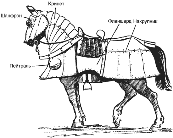 Рыцарская конница