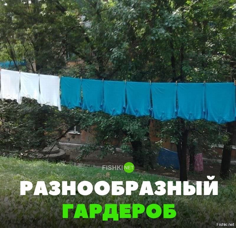 Разнообразие