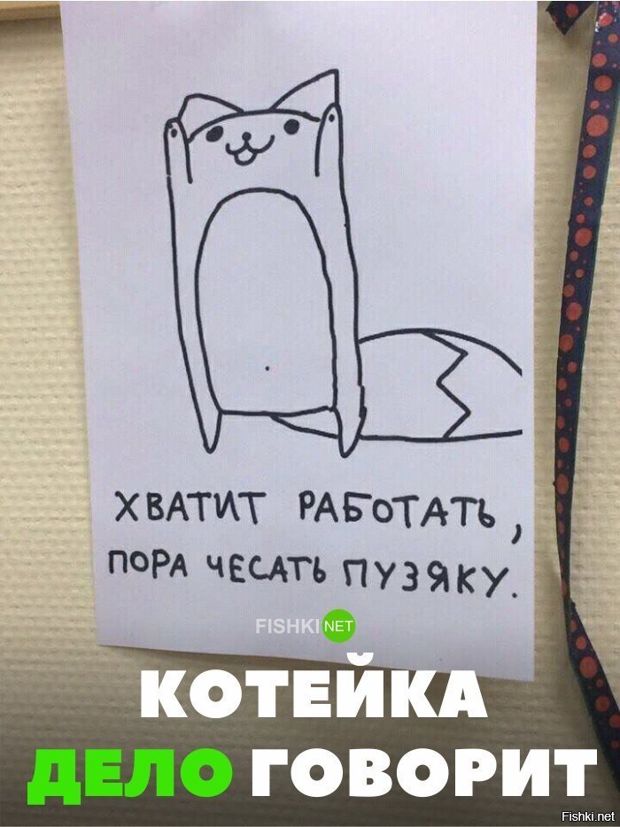 Котейка плохого не посоветует
