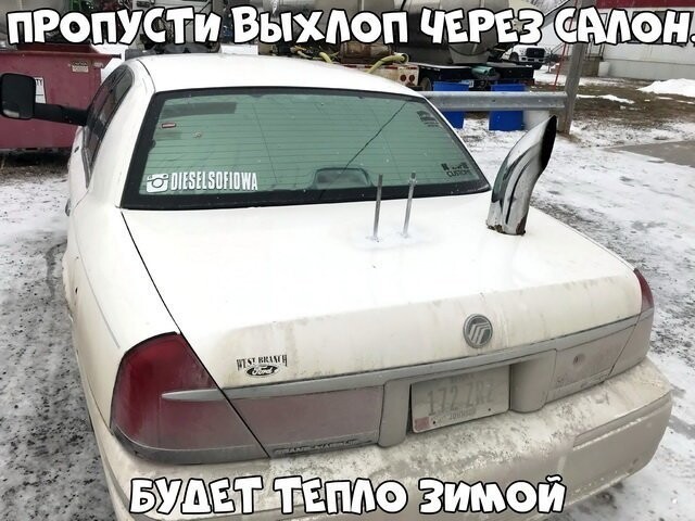 Автовсячина