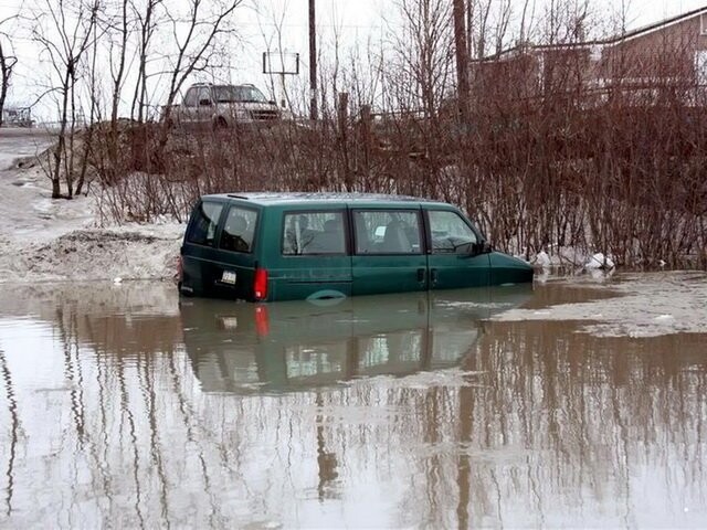 Автовсячина