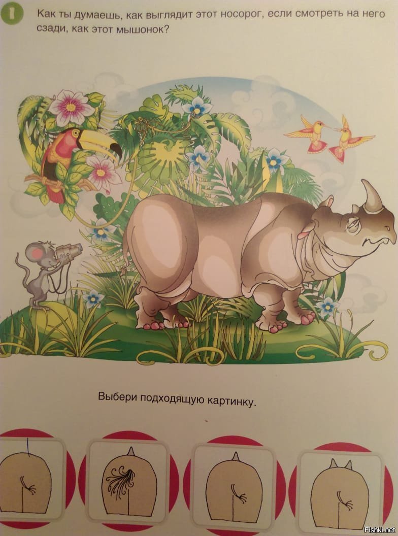 Фото из детской книжки