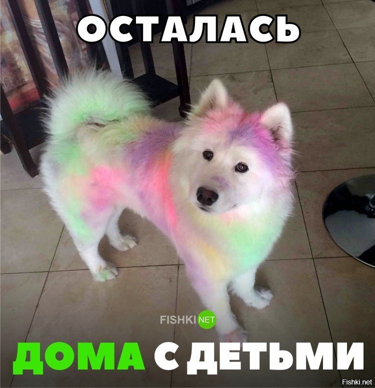 Когда оставил собаку с детьми