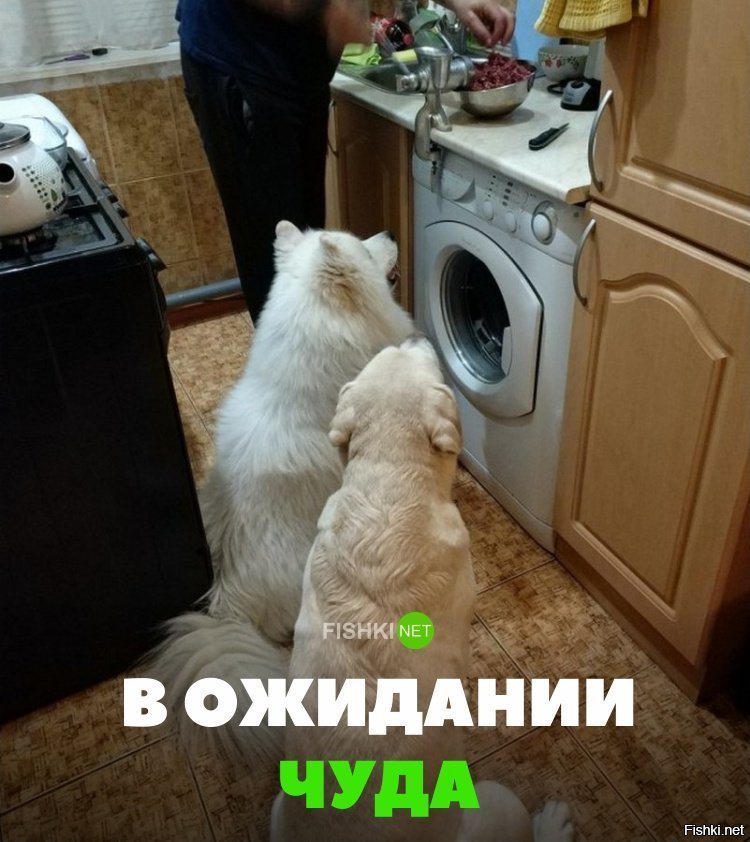 В ожидании чуда