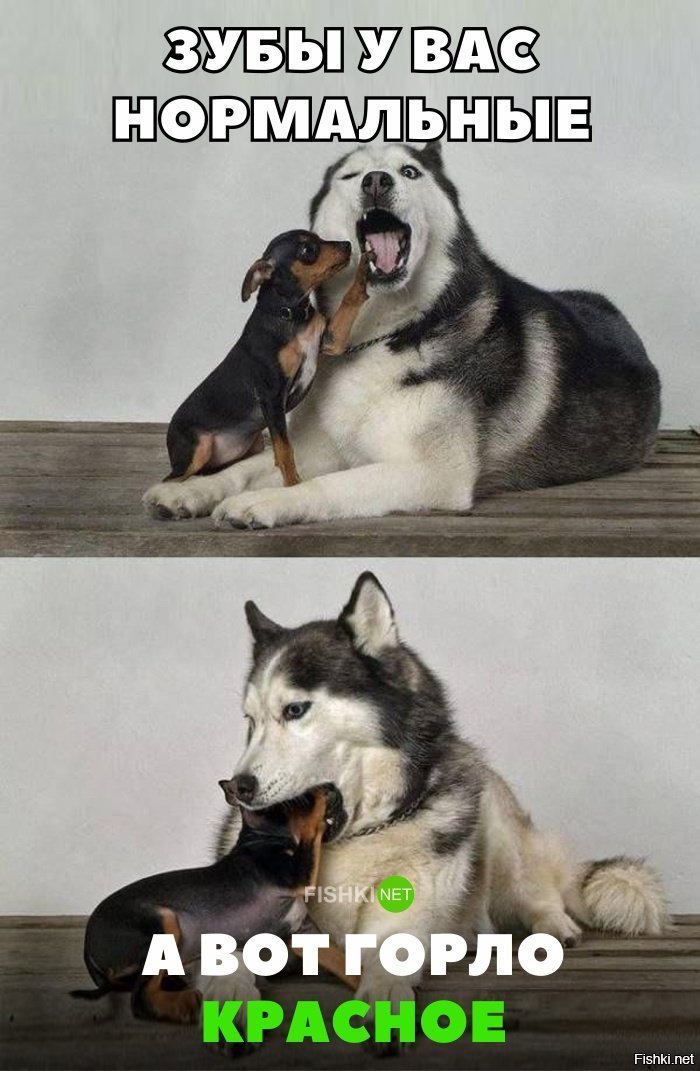 Доктор Пёська