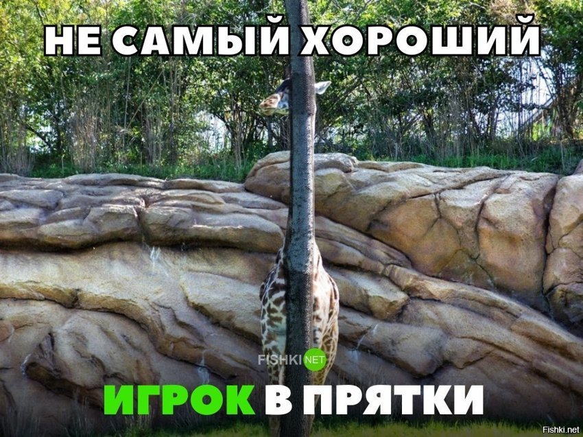 Не самый хороший игрок в прятки