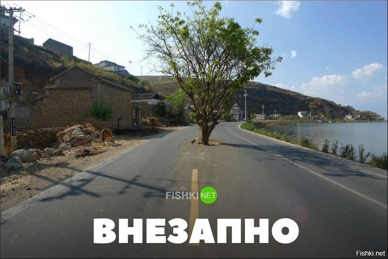 Внезапно