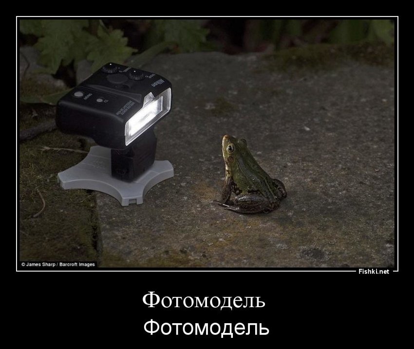 Фотомодель 