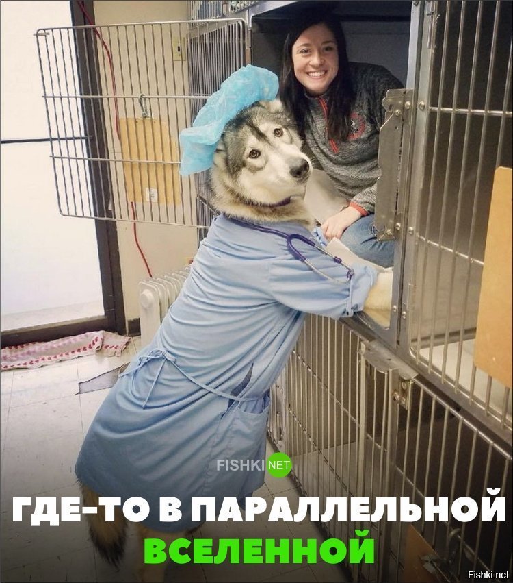В параллельной вселенной