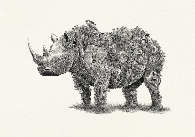 Носорог / Африка